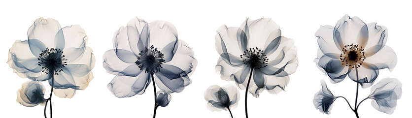 Wall Mural - X ray effect flowers. Generative Ai