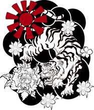 Chinese Tiger With Sakura Flower And Water Splash Tattoo.Illustration Design Tiger And Cherry Peach Flower Art Vector.