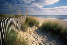Fence On The Beach