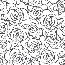 Floral Pattern With Rose Flowers Contours. Black And White Seamless Background. Vector Modern Print