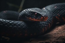 Illustration Of A Dangerous Red Bellied Black Snake. Generative AI