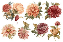 Autumn Clip Art Dahlia Flowers, Seamless Decorative Pattern Elegant Print, Garden Pattern