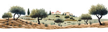 Olive Grove Vector Simple 3d Smooth Cut And Paste Isolated Illustration