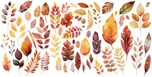 Set Of Autumn Leaves Watercolor Collection Of Hand Drawn, Autumn Leaves Yellow Orange Red Purple Brown Color, Autumn Leaves Elegant Watercolor , Autumn Leaves Isolated Transparent Background, PNG.