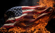 burning american flag. downfall of america. BRICS. dollarization. Economy and inflation. 