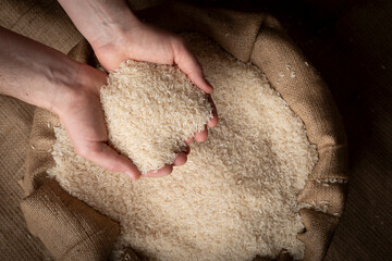 Wall Mural - Human hands holding handful of rice over burlap sack