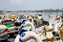 Paddle Boat Swans At Lake Tay In Quan Tay Ho Or Westlake District, Hanoi, Vietnam