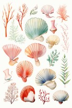 Watercolor Set Of Seashells Isolated On White, AI Generated