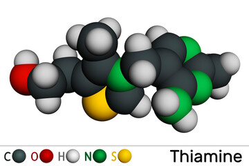 Canvas Print - Thiamine, vitamin B1 molecule. Found in food, used as a dietary supplement and medication. Molecular model. 3D rendering.