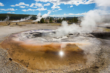 Sticker - Yellowstone