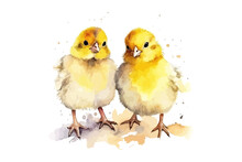 Yellow Watercolor Chicken. Cute Little Chicks. Vector Illustration Design.