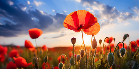 Selective focus.multicolor of fantasy popie,poppy flower and cosmos blooming with landscape meadow mountain view.nature spring background.generative ai art