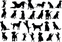 A Collection Of Dog Silhouettes In Various Poses And Breeds. Perfect For Pet Lovers, Veterinarians, Or Dog Trainer. Animal, Canine, Domestic, Cute, Friendly, Loyal, Companion