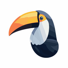 Toucan Bird In Cartoon Doodle Style. 2d Cute Vector Illustration In Logo, Icon Style. 