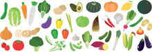 Big Collection Of Colorful Hand Drawn Fresh Vegetables, Isolated On White Background. Set Of Healthy Vegan Products. Vector Illustration