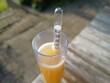 Reading wort gravity with a hydrometer