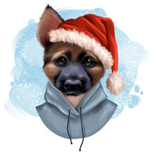 Funny German Shepherd Dog Portrait In Sants Hat. Winter Illustration. For Print, Posters, Stickers, T-shirt, Cards.