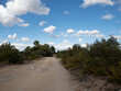 © caroldanvers - Vistas en la ruta de senderismo de la Hoz de Alarcón, Hoz de Alarcón, Alarcón, Cuenca, Castilla la Mancha, España