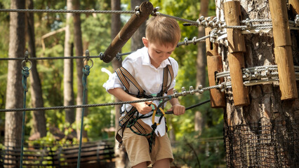 Wall Mural - Little boy connecting his safety rope and hook before climbing up the tree in park