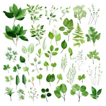 Set Of Green Watercolor Leaves On White Background. This Collection Can Be Used For Wedding Invitations, Anniversary, Birthday, Postcards, Greetings, Cards, Logos Etc. Generative AI