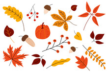 Hand Drawn Autumn Set. Cute Cliparts With Pumpkin, Acorn, Oak Leaf, Maple Leaf, Rowan. Modern Illustrations In Flat Minimal Style. White Isolated Background.