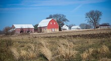 This Is A Family Farm On A Sunny Midwinter's Day, Waiting For Another Snow Fall.