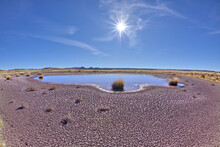 The Shallow Pond At Petrified Forest National Park Arizona Called Dry Creek Tank Along The Red Basin Trail.