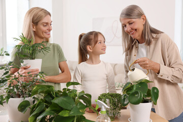 Wall Mural - Three generations. Happy grandmother, her daughter and granddaughter watering houseplants at home