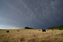 Gathering Storm Above Gunning, NSW