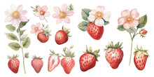 Watercolor Strawberry Clipart For Graphic Resources