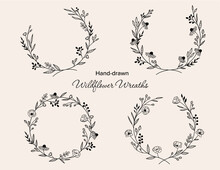 Minimal Wildflower Wreaths, Hand-drawn, Vector Floral Wreath Set, Poppy, Daisy