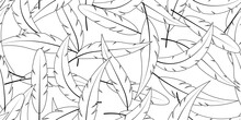 Black White Outline Feather Seamless Pattern