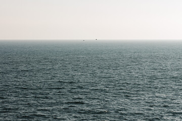 horizon view with blue sea and high waves and two birds in the center