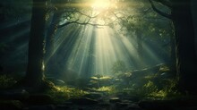  A Sunbeam In The Middle Of A Forest Filled With Trees.  Generative Ai