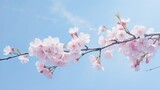 Fototapeta Mapy -  a branch of a cherry tree with pink flowers on it.  generative ai