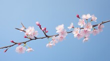  A Branch Of A Tree With Pink Flowers On It Against A Blue Sky.  Generative Ai