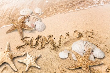 Canvas Print - Starfish and seashells on the sand beach at sea