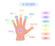 Symbols, names and meaning of the seven chakras and their location on the palm. Vector illustration on white background