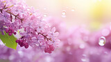 Fototapeta Kwiaty - Pink lilac flowers on a blurred background