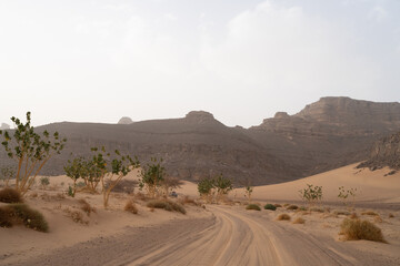 Canvas Print - iew in the Sahara desert of Tadrart rouge tassili najer in Djanet City  ,Algeria.colorful orange sand, rocky mountains