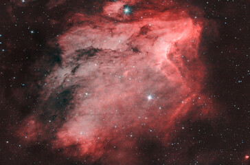 Wall Mural - Pelican nebula