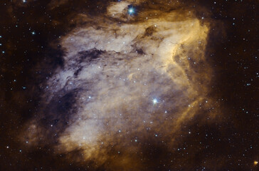 Wall Mural - Pelican nebula SHO
