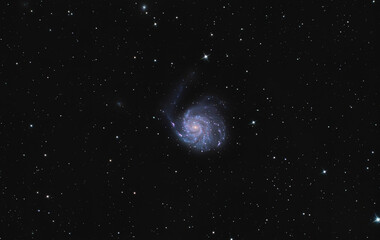 Wall Mural - Pinwheel galaxy