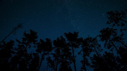 timelapse of the milky way galaxy moves above the silhouettes of trees