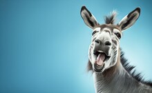 Creative Animal Concept. Laughing Donkey Over Pastel Bright Background. Generative AI.