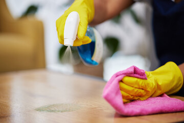 Sticker - Spray, hands and person cleaning table, furniture and housekeeping services at home. Closeup of cleaner wipe surface with cloth, bottle of chemical product and disinfection of dust, bacteria and dirt