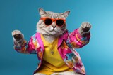 Fototapeta Zwierzęta - Cat wearing colorful clothes and sunglasses dancing on the green background