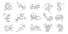 Lizard Characters, Jungle Animal. Chameleon Icons Set For Your Design. Colouring Page