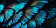 Butterfly Wings, Peacock Feathers, Closeup, Blue, Iridescent, Colorful, Background Wallpaper, Generative AI