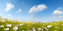 Beautiful, Sun-drenched Spring Summer Meadow. Natural Colorful Panoramic Landscape With Many Wild Flowers Of Daisies Against Blue Sky With Clouds, Generative AI